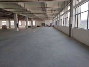 广州市番禺区带消防喷淋有现成环评食品厂出租
